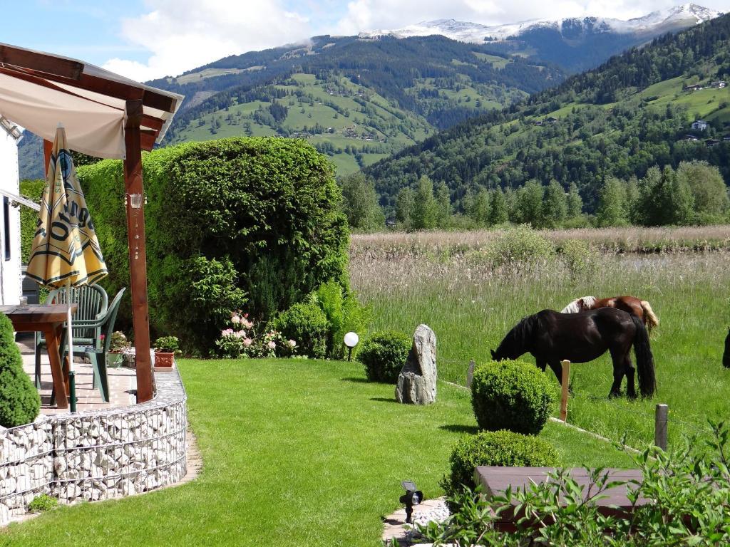 Appartement Plattner Zell am See Exterior photo
